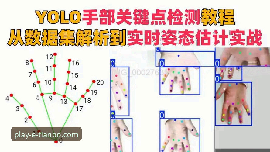 天博体育平台竞猜实战心得：从新手到高手的全流程操作指南
